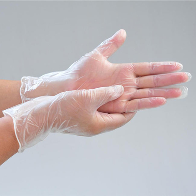 Food Powder Free Vinyl Hand Gloves 9 Inch 12 Inch