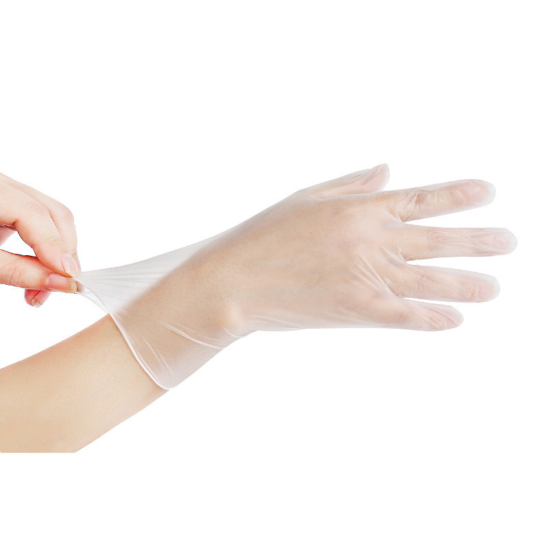 Vinyl Powder Free Gloves Disposable Waterproof Transparent Household
